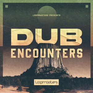 LOOPMASTERS ホリデーセール DUB ENCOUNTERSの買取情報