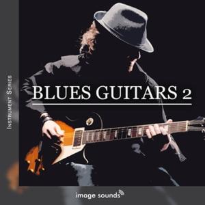 イメージサウンドGWセール！BLUES GUITARS 2の高価買取価格