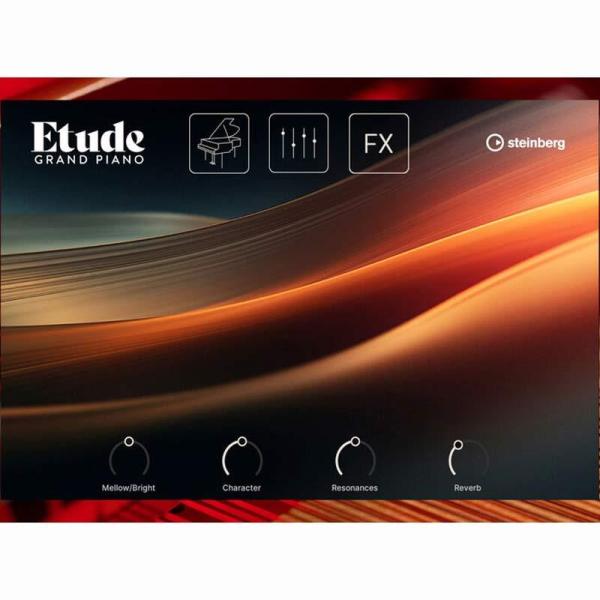 Steinberg Etude (スタインバーグ)(エチュード)(ピアノ音源)(オンライン納品)(2...