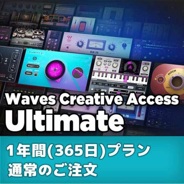WAVES Creative Access Ultimate ：1年 (ウェイブス)(クリエイティブ...