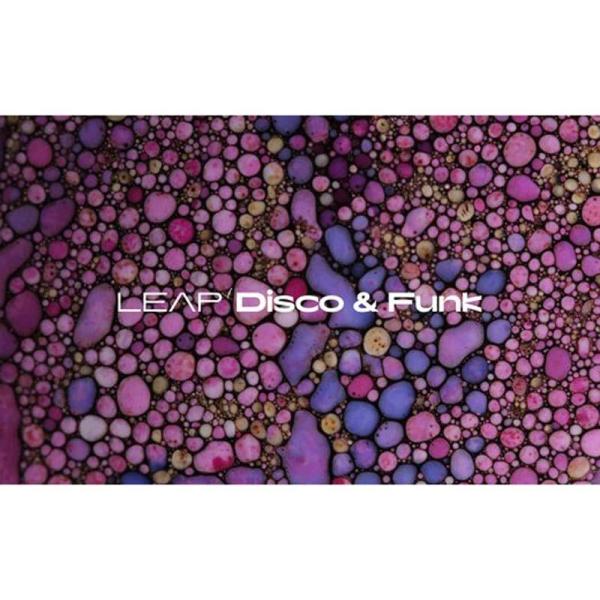 Native Instruments Leap Expansion - Disco and Funk...
