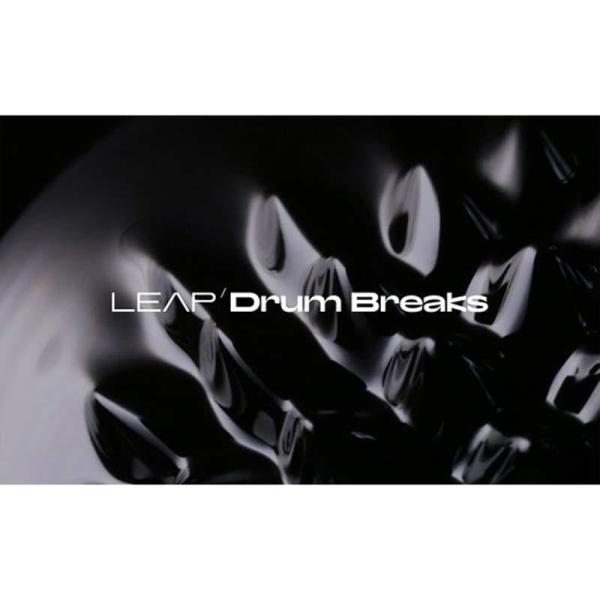 Native Instruments Leap Expansion - Drum Breaks (ネ...