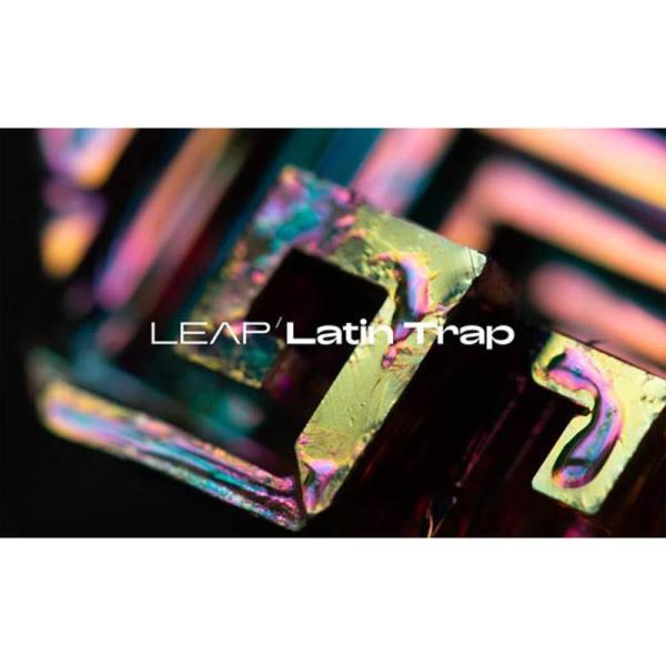 Native Instruments Leap Expansion - Latin Trap (ネイ...