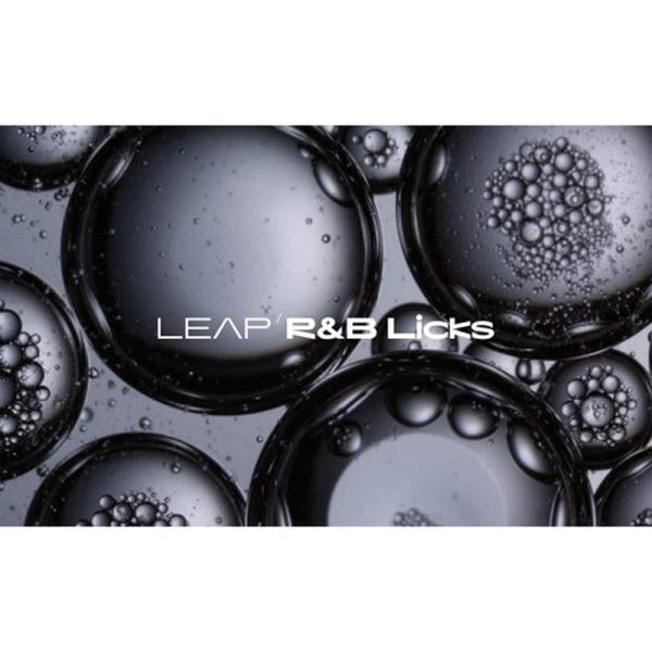 Native Instruments Leap Expansion - RnB Licks (ネイテ...