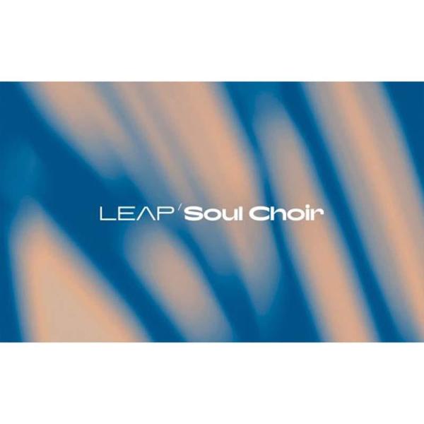 Native Instruments Leap Expansion - Soul Choir (ネイ...