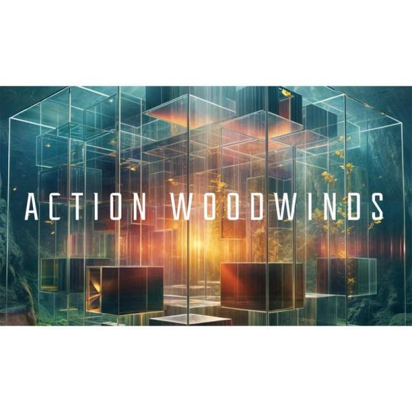 Native Instruments Action Woodwinds (ウッドウィンズ)(オンライ...
