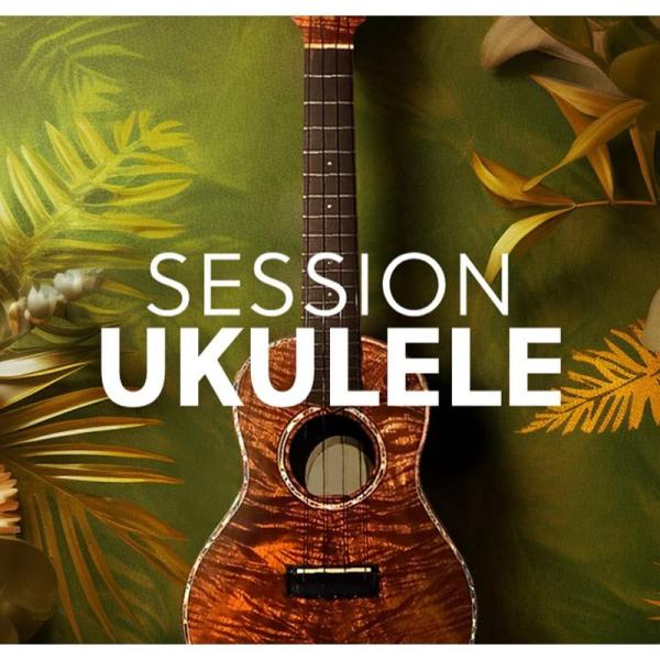 Native Instruments Session Ukulele (ウクレレ)(ハワイアン)(オ...