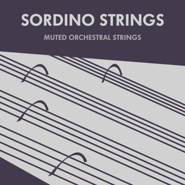 Sonokinetic Sordino Strings (オーケストラ)(Kontaktライブラリ)...