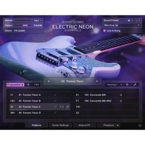 Session Guitarist: Electric Neon Essentialsの買取情報