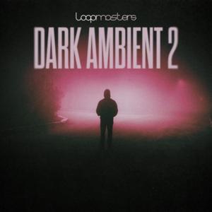 LOOPMASTERS Dark Ambient Vol 2の買取情報