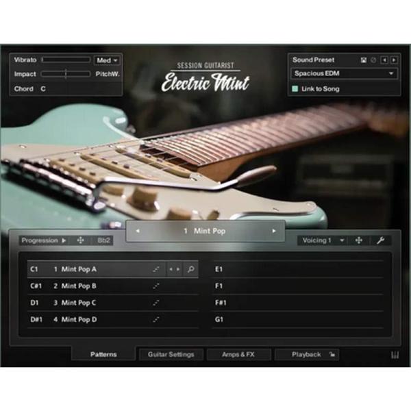 Native Instruments Session Guitarist - Electric Mi...