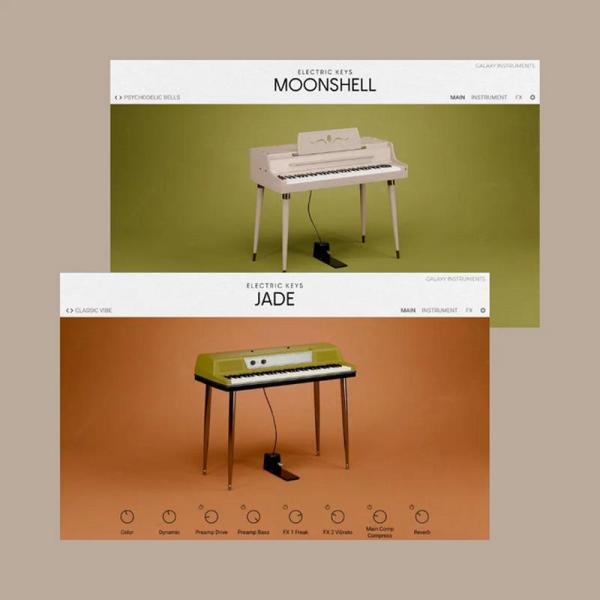 Native Instruments Electric Keys - Reeds Duo (エレクト...