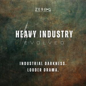 ZERO-G Heavy Industry Evolvedの高価買取価格