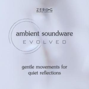 ZERO-G Ambient Soundware Evolvedの高価買取価格