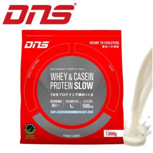 DNS ホエイ＆カゼインプロテイン スロー 1,000g 【1日をプロテインで締めくくる】｜annexsports