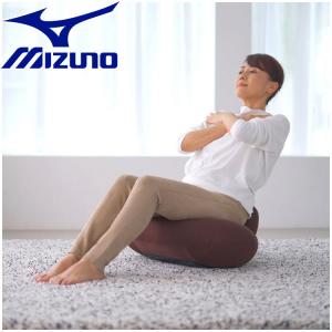 ミズノ MIZUNO 腹筋プルレプラス C3JHI00455 フィットネス トレーニング エクササイズ 健康用品