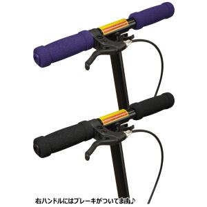 JDGRIT キックボード キックスケーター ...の詳細画像3