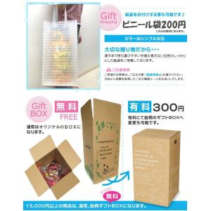 おむつケーキ ディズニー ダッフィー シェリー...の詳細画像4