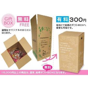 おむつケーキ サッシー Sassy 双子用 274の詳細画像4