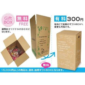 おむつケーキ ディズニー ダッフィー シェリー...の詳細画像4