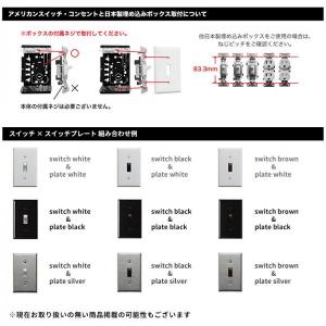 【おまけ付き】スチールスイッチプレート1穴(本...の詳細画像3