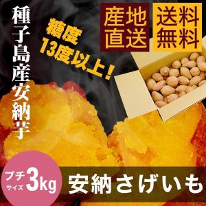 【送料無料】種子島産安納芋 3ｋｇ【プチサイズ】