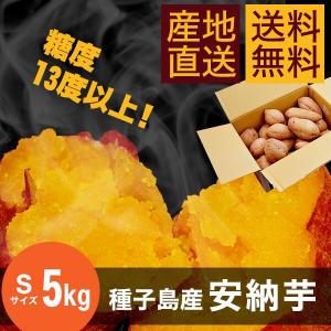 【送料無料】種子島産安納芋 5kg【Sサイズ】...