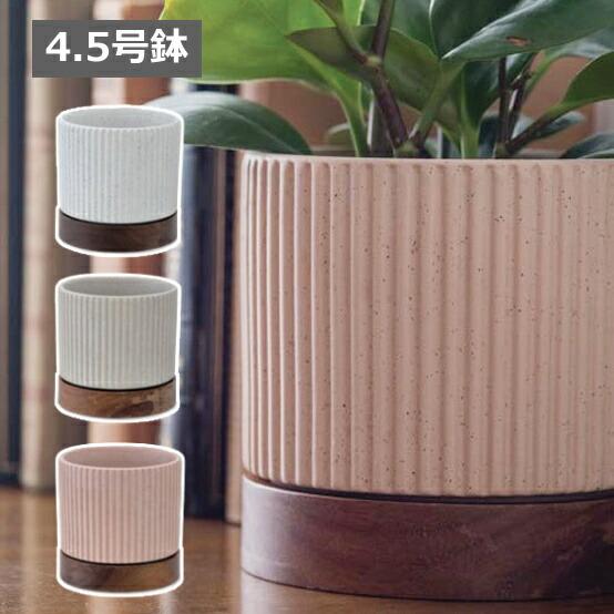 タイディポット L 植木鉢 鉢 ソーサー セット プランター フラワーポット ガーデニング 無骨 イ...