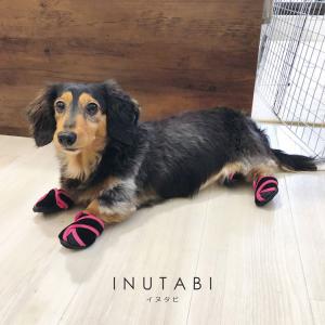 犬 靴 脱げない 履かせやすい くつ 小型 散...の詳細画像1