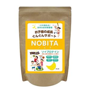 NOBITA(ノビタ) ソイプロテイン FD-0002 (バナナ味)｜anr-trading