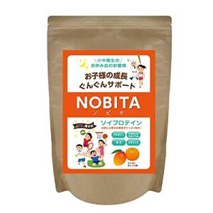 NOBITA(ノビタ) ソイプロテイン FD-0002 (マンゴーオレンジ味)｜anr-trading