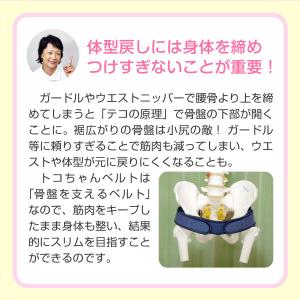 トコちゃんベルト2(S/M)【青葉正規品】妊娠...の詳細画像3