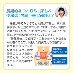 トコちゃんベルト2(S/M)【青葉正規品】妊娠...の詳細画像4