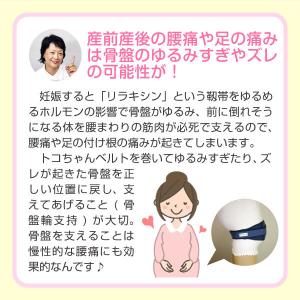 トコちゃんベルト2(S/M)【青葉正規品】妊娠...の詳細画像5