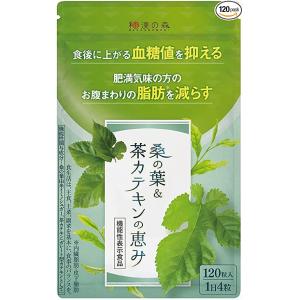 桑の葉＆茶カテキンの恵み 120粒