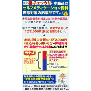 第2類医薬品 寧薬化学工業 ベラミスF 216...の詳細画像1