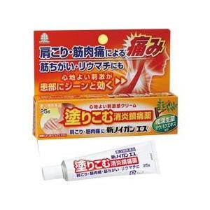 第3類医薬品 湧永製薬 新ノイガンエス ２５ｇ ※お取寄せの場合あり セルフメディケーション税制 対象品｜anshin-relief