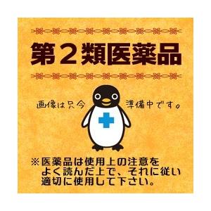 第2類医薬品 小太郎漢方製薬 三物黄ごん湯エキス細粒Ｇ「コタロー」　（さんもつおうごんとう）　５００ｇ ※お取寄せの場合あり｜anshin-relief