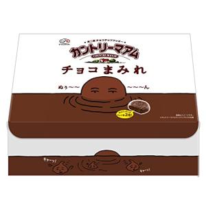 【EC限定品】 不二家 カントリーマアムチョコまみれ大容量BOX （500g）の商品画像