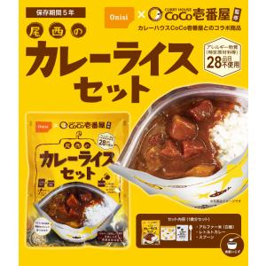 非常食 保存食 アルファ米 非常食セット防災食...の詳細画像2