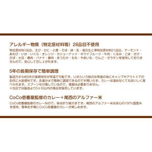 非常食 保存食 アルファ米 非常食セット防災食...の詳細画像3