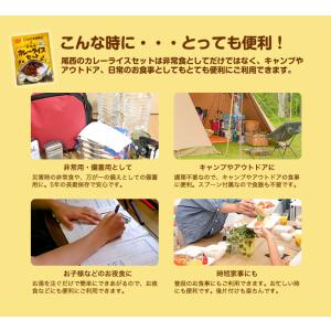 非常食 保存食 アルファ米 非常食セット防災食...の詳細画像4