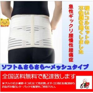 坐骨神経痛 コルセットの商品一覧 通販 Yahoo ショッピング