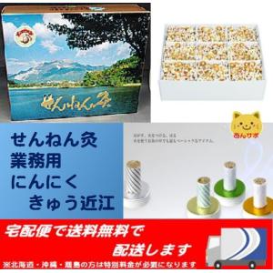 せんねん灸の奇跡 レギュラー 1200点入 業務用 : あんしん健康サポート