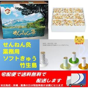 せんねん灸の奇跡 レギュラー 1200点入 業務用 : あんしん健康サポート