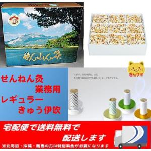 業務用せんねん灸2000点入り2箱 せんねん灸の奇跡 ソフト200点入り｜アトラストア:鍼灸接骨院向け卸