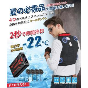 2025夏新登場!ペルチェ冷却ベスト。薄型・静...の詳細画像4
