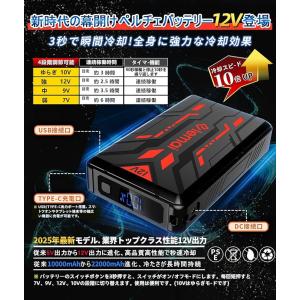 2025夏新登場!ペルチェ冷却ベスト。薄型・静...の詳細画像5