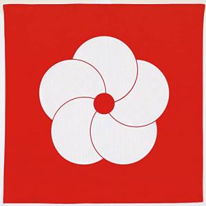 むす美 ふろしき 70 ハレ包み 松竹梅 アカ 70cm 綿