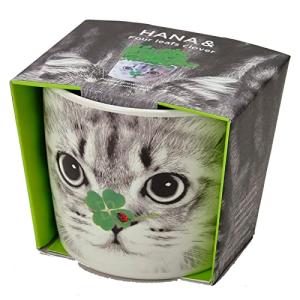 聖新陶芸 家庭菜園 簡単 栽培キット 四つ葉のクローバー 室内 香草 野菜 栽培セット 9cm HANA&ANIMALS ネコ 母の日 プレゼント 誕